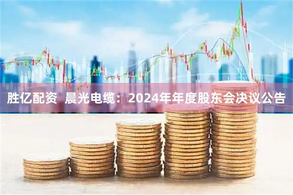 胜亿配资  晨光电缆：2024年年度股东会决议公告