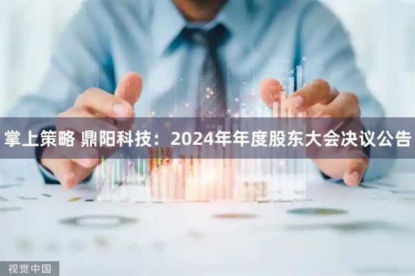 掌上策略 鼎阳科技：2024年年度股东大会决议公告