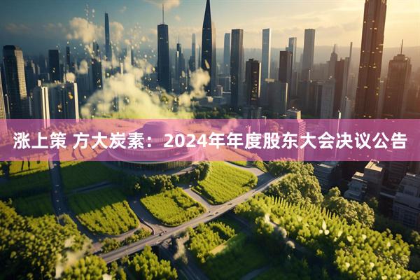 涨上策 方大炭素：2024年年度股东大会决议公告