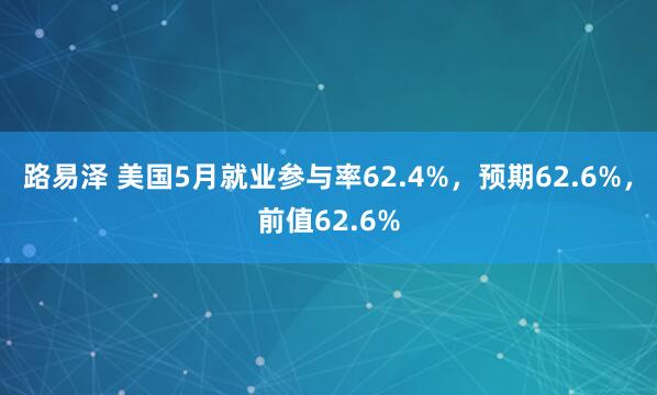 路易泽 美国5月就业参与率62.4%，预期62.6%，前值62.6%
