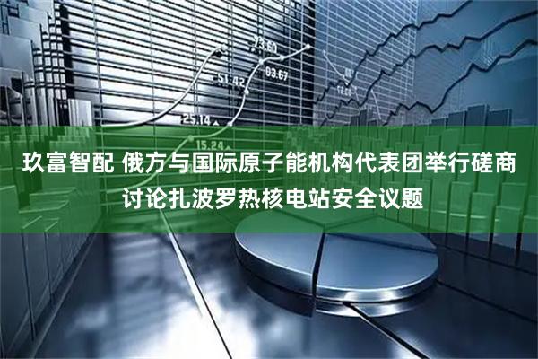 玖富智配 俄方与国际原子能机构代表团举行磋商 讨论扎波罗热核电站安全议题