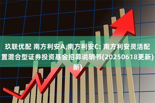 玖联优配 南方利安A,南方利安C: 南方利安灵活配置混合型证券投资基金招募说明书(20250618更新)