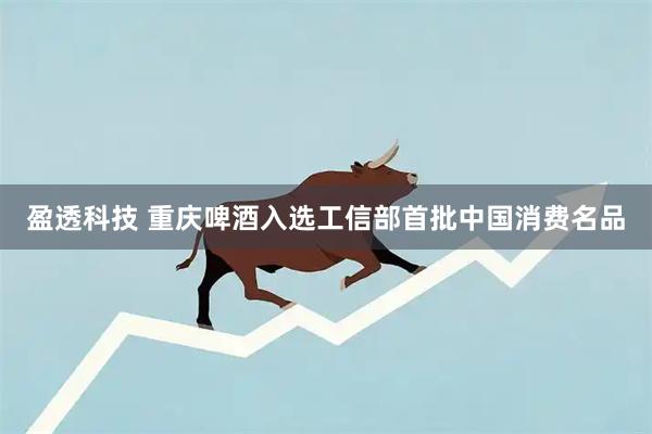 盈透科技 重庆啤酒入选工信部首批中国消费名品