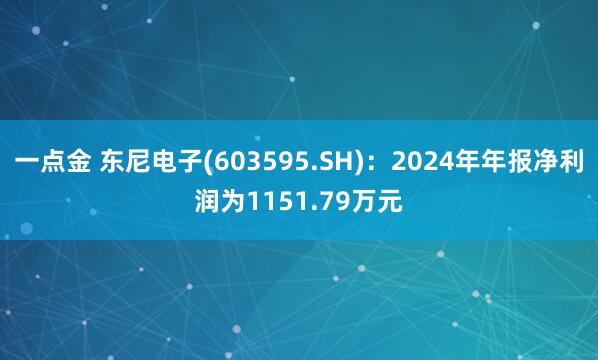 一点金 东尼电子(603595.SH)：2024年年报净利润为1151.79万元