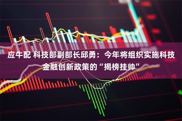 应牛配 科技部副部长邱勇：今年将组织实施科技金融创新政策的“揭榜挂帅”