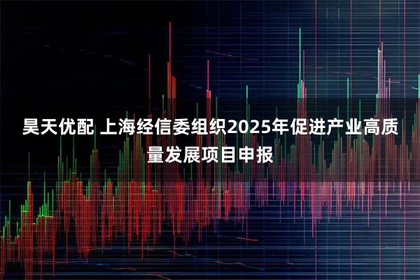 昊天优配 上海经信委组织2025年促进产业高质量发展项目申报