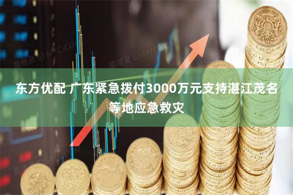 东方优配 广东紧急拨付3000万元支持湛江茂名等地应急救灾