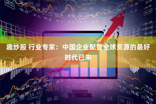 趣炒股 行业专家：中国企业配置全球资源的最好时代已来