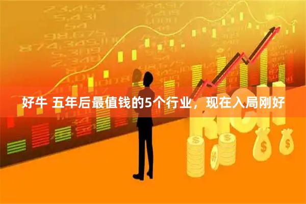 好牛 五年后最值钱的5个行业，现在入局刚好